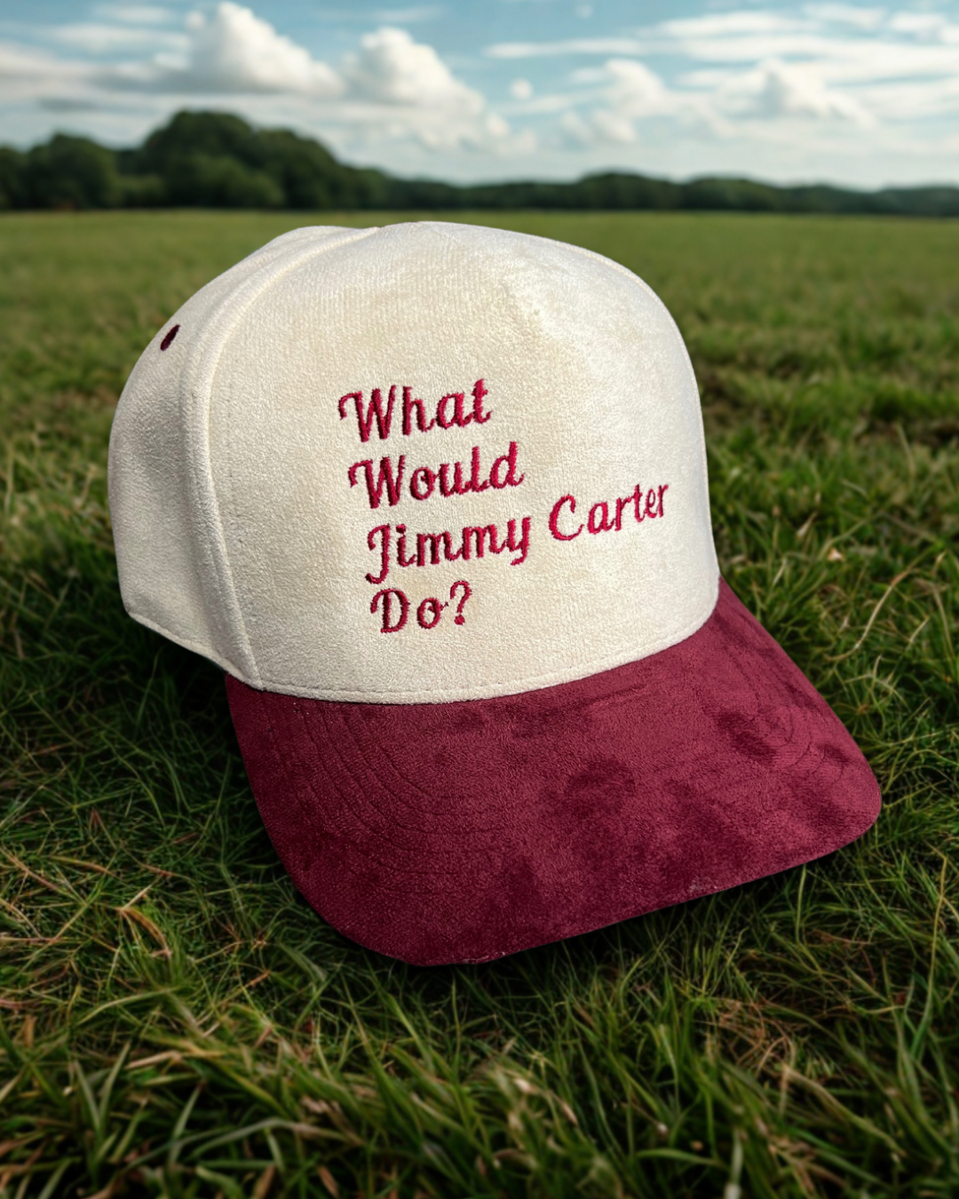 What Would Jimmy Carter Do hat • suede hat • embroidered hat