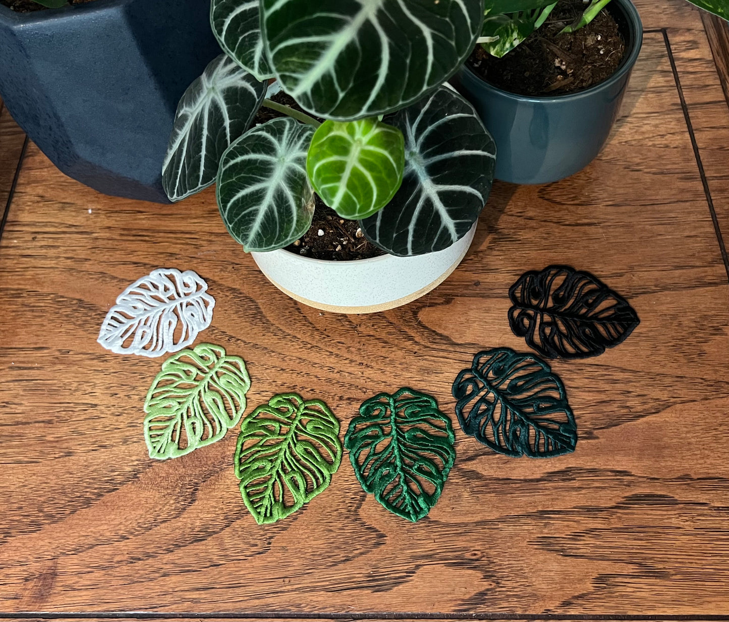 Embroidered Coaster Leaf • Monstera Leaf • Plant Coaster • cute