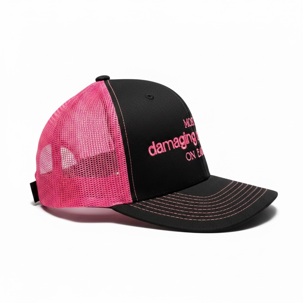 Most damaging creature on earth hat • literally just a girl • embroidered hat