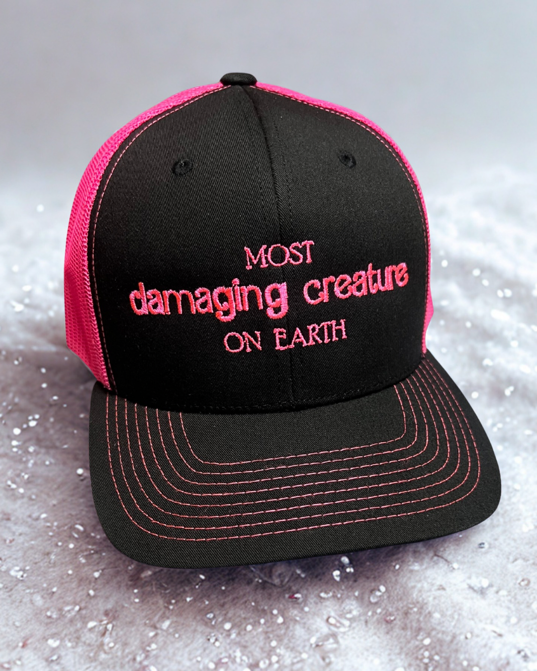 Most damaging creature on earth hat • literally just a girl • embroidered hat